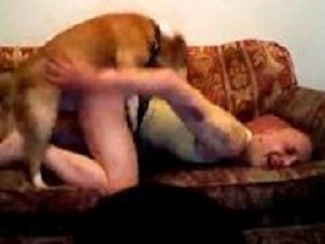 Ручной пес трахает зоофила и кончает в жопу зоо порно